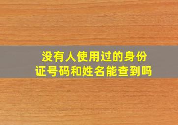 没有人使用过的身份证号码和姓名能查到吗