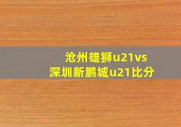 沧州雄狮u21vs深圳新鹏城u21比分