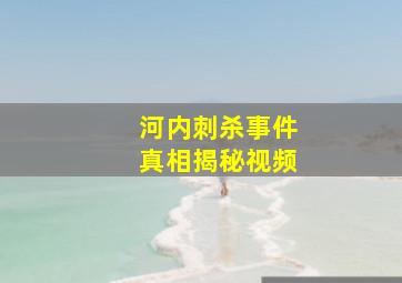 河内刺杀事件真相揭秘视频