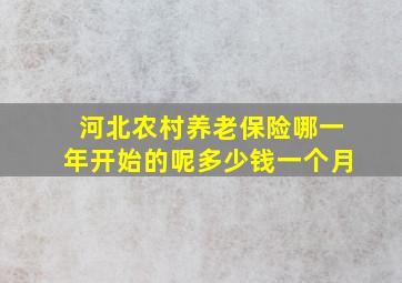 河北农村养老保险哪一年开始的呢多少钱一个月