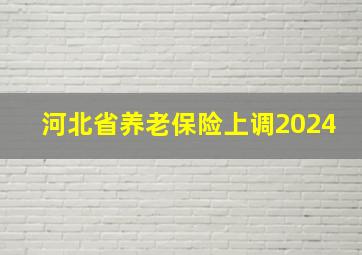 河北省养老保险上调2024