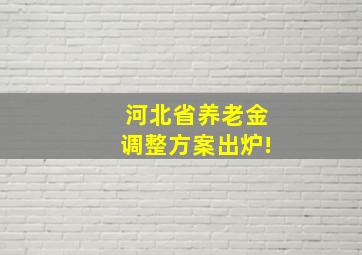 河北省养老金调整方案出炉!