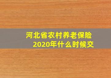 河北省农村养老保险2020年什么时候交