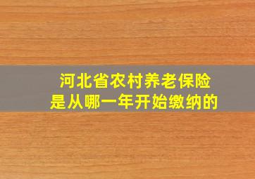 河北省农村养老保险是从哪一年开始缴纳的