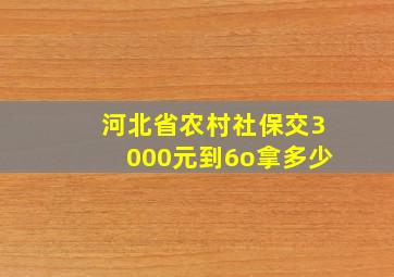 河北省农村社保交3000元到6o拿多少