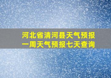 河北省清河县天气预报一周天气预报七天查询