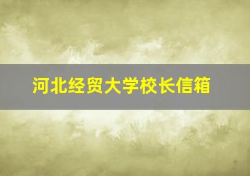 河北经贸大学校长信箱