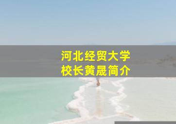 河北经贸大学校长黄晟简介