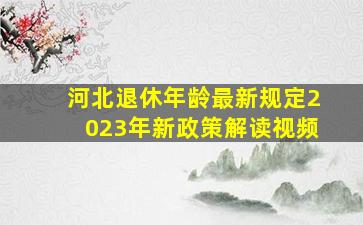 河北退休年龄最新规定2023年新政策解读视频