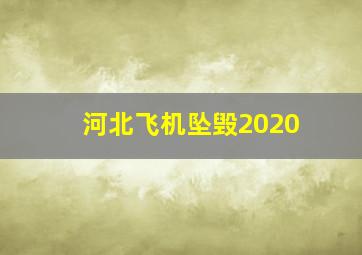 河北飞机坠毁2020