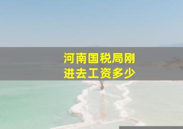 河南国税局刚进去工资多少