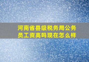 河南省县级税务局公务员工资高吗现在怎么样