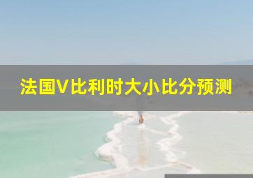 法国V比利时大小比分预测