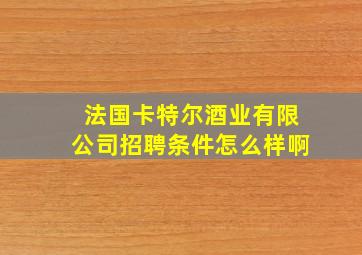 法国卡特尔酒业有限公司招聘条件怎么样啊