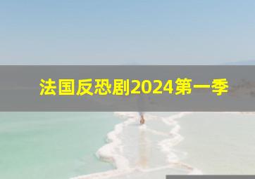 法国反恐剧2024第一季