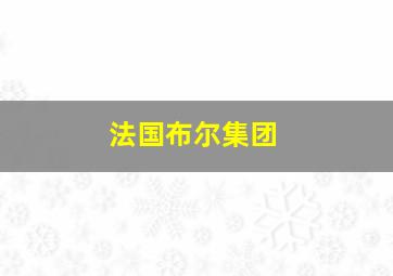 法国布尔集团