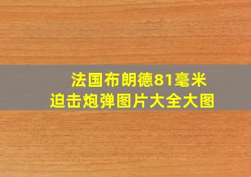 法国布朗德81毫米迫击炮弹图片大全大图