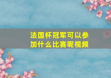 法国杯冠军可以参加什么比赛呢视频