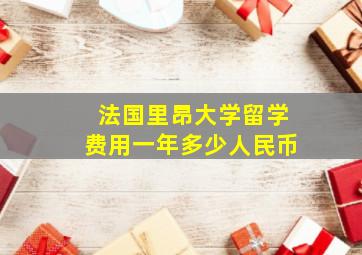 法国里昂大学留学费用一年多少人民币