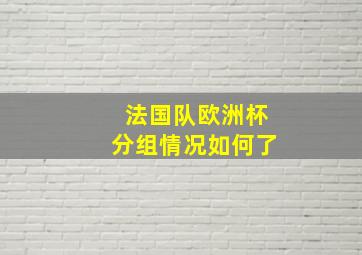 法国队欧洲杯分组情况如何了