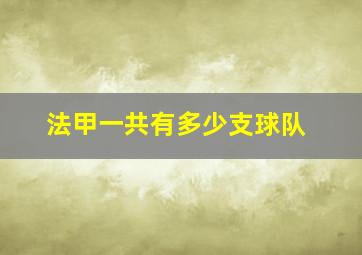 法甲一共有多少支球队