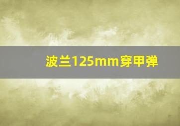 波兰125mm穿甲弹