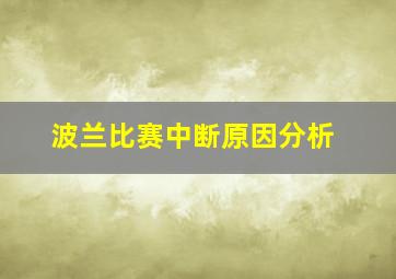 波兰比赛中断原因分析