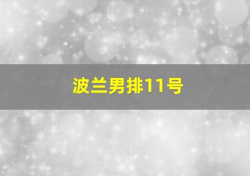 波兰男排11号