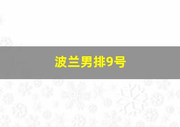 波兰男排9号