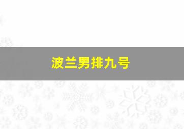 波兰男排九号