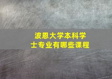 波恩大学本科学士专业有哪些课程