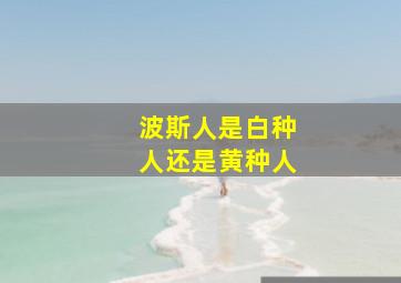 波斯人是白种人还是黄种人