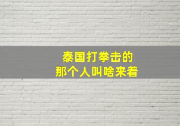 泰国打拳击的那个人叫啥来着