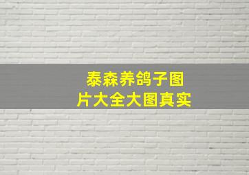 泰森养鸽子图片大全大图真实