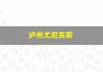 泸州尤尼克斯