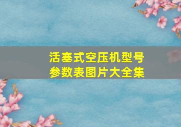 活塞式空压机型号参数表图片大全集