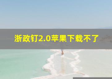 浙政钉2.0苹果下载不了