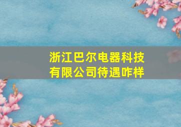 浙江巴尔电器科技有限公司待遇咋样