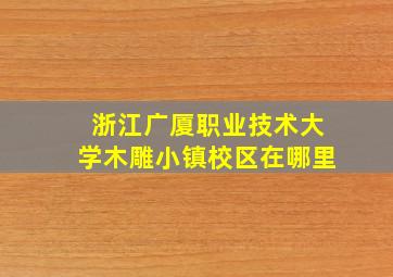 浙江广厦职业技术大学木雕小镇校区在哪里