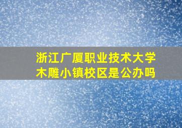 浙江广厦职业技术大学木雕小镇校区是公办吗