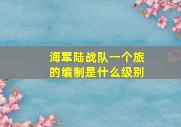 海军陆战队一个旅的编制是什么级别