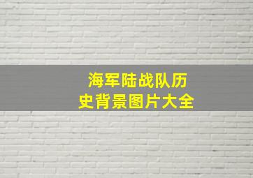 海军陆战队历史背景图片大全