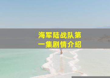 海军陆战队第一集剧情介绍