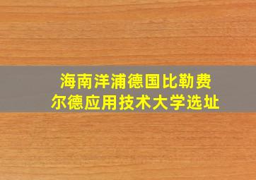 海南洋浦德国比勒费尔德应用技术大学选址