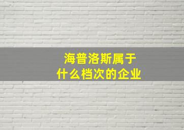 海普洛斯属于什么档次的企业