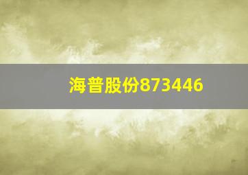 海普股份873446