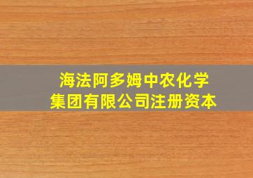 海法阿多姆中农化学集团有限公司注册资本