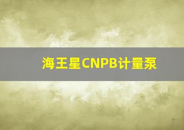 海王星CNPB计量泵