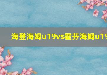 海登海姆u19vs霍芬海姆u19