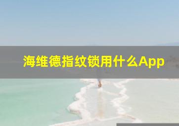 海维德指纹锁用什么App